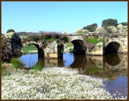 Puente de las Urrietas