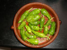 PIMIENTOS DE PADRÓN